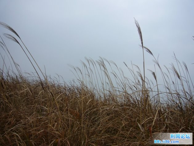 P1100447.JPG P1100447.JPG