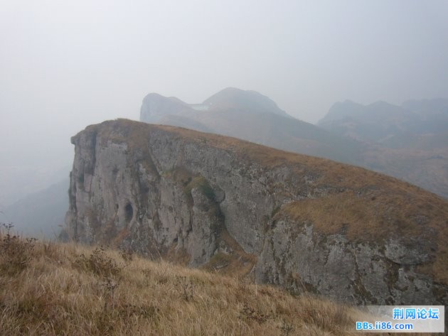 P1100451.JPG P1100451.JPG