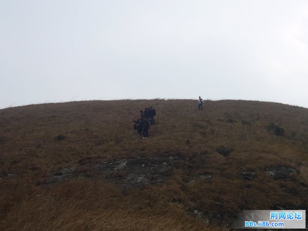 P1100453.JPG P1100453.JPG