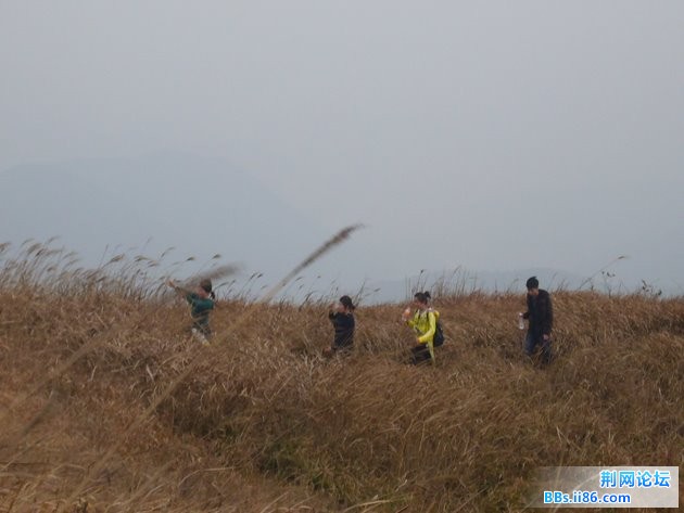 P1100450.JPG P1100450.JPG