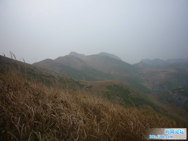 P1100454.JPG P1100454.JPG