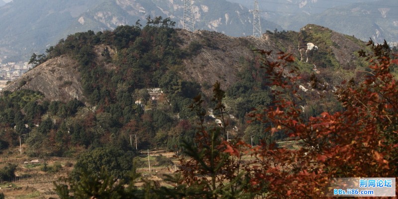 DPP_0015.JPG