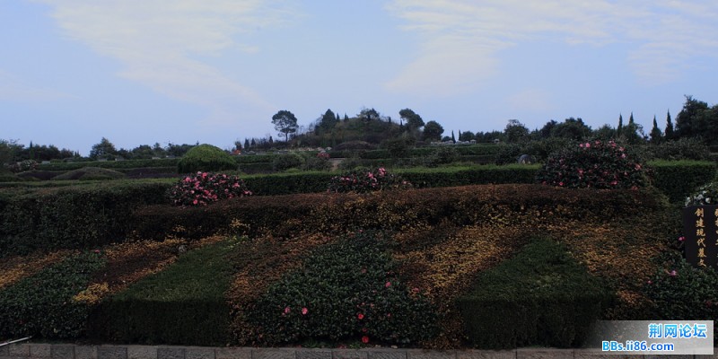 DPP_0043.JPG
