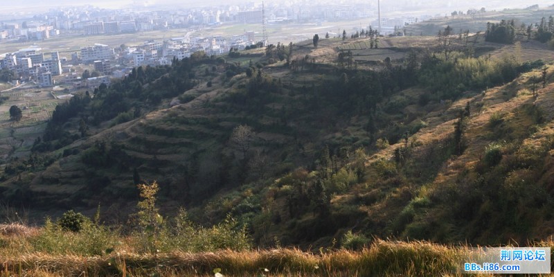 DPP_0052.JPG