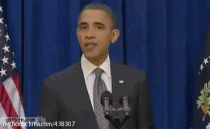 13.gif