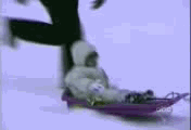 5.gif
