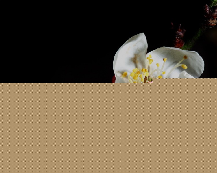 BI0E9010.jpg