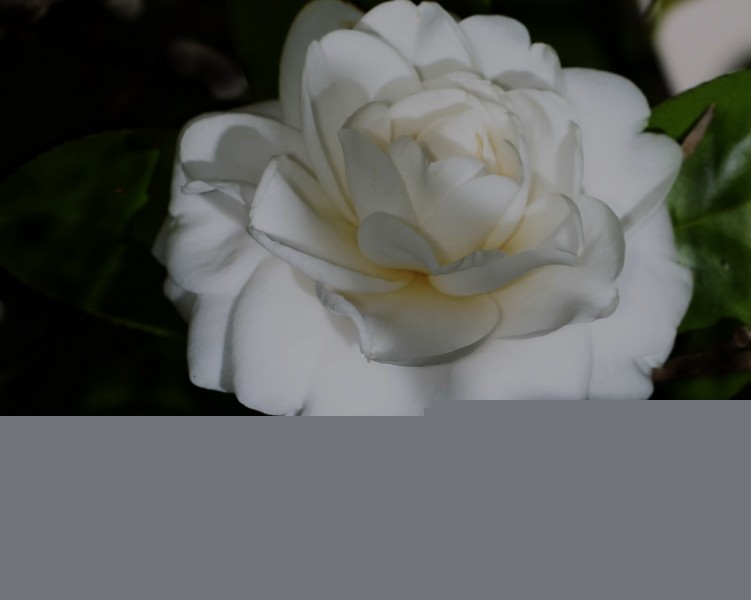 BI0E8986.jpg