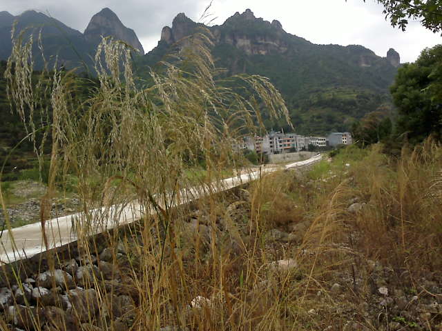 乡野