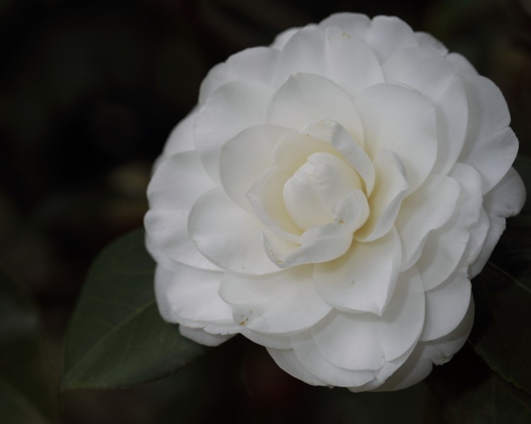 BI0E9213.JPG