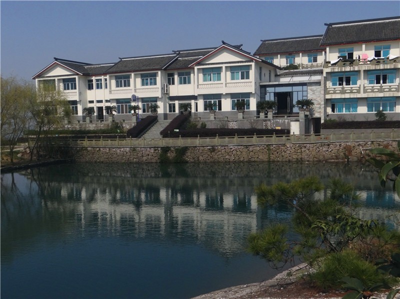 DSC00342_副本.jpg