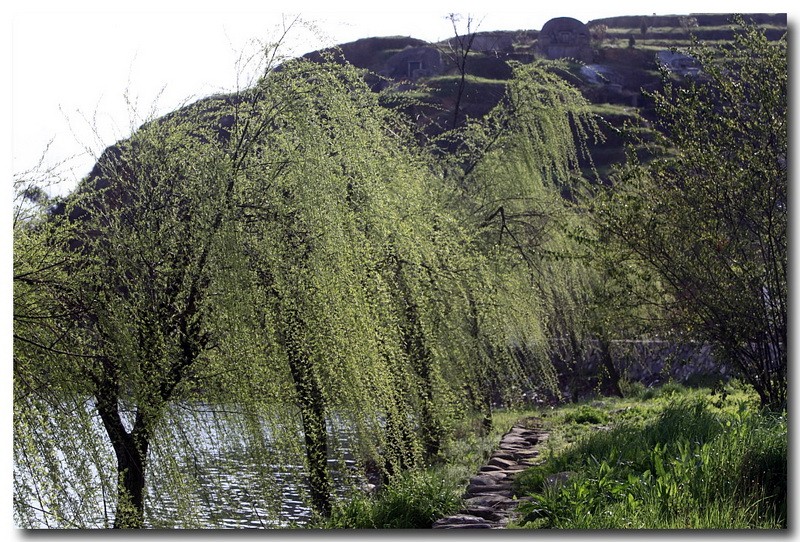 BI0E0480.JPG