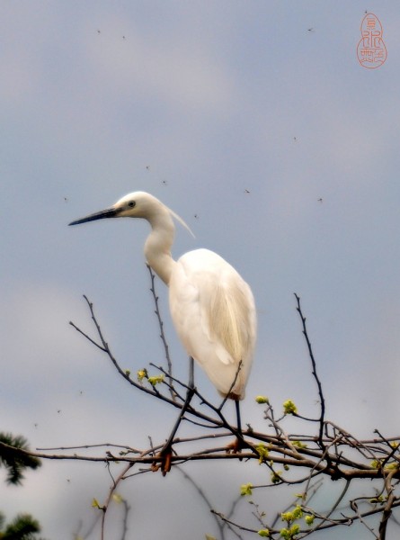 DSC_8861.jpg