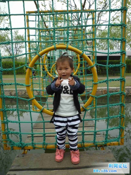 趣桥世界，好玩