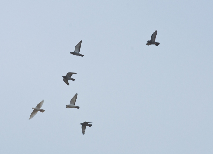 DSC_0543.jpg