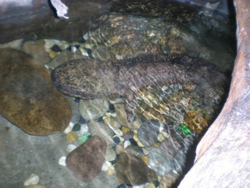 旅游照 170.jpg