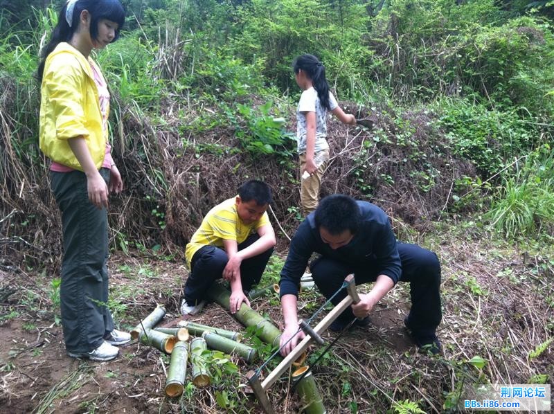 IMG_2783 (中等).jpg