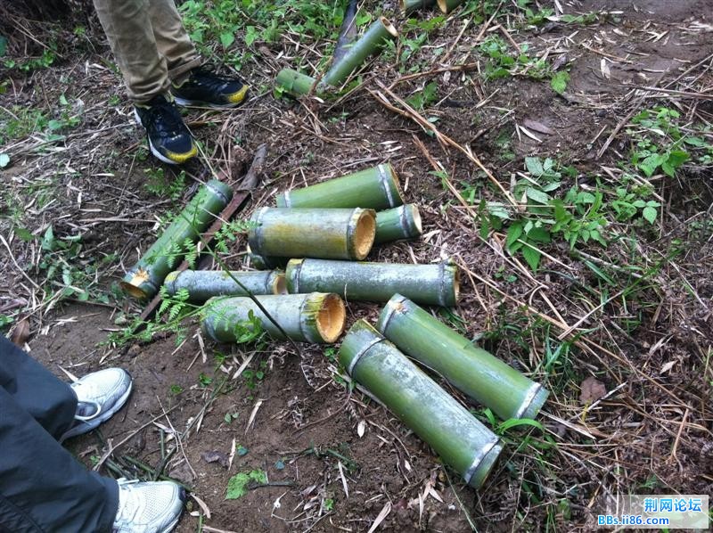 IMG_2794 (中等).jpg