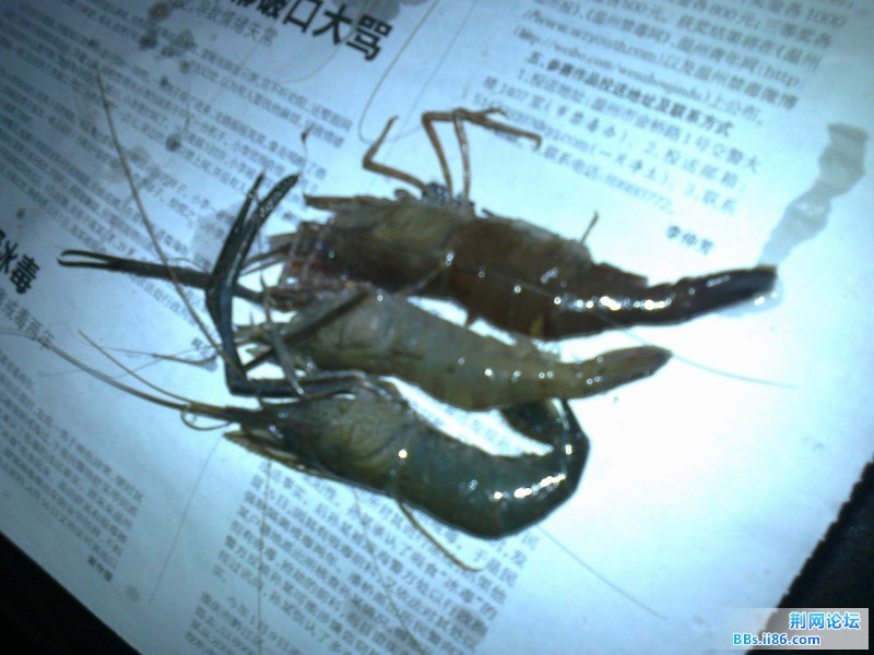 照片0944.jpg