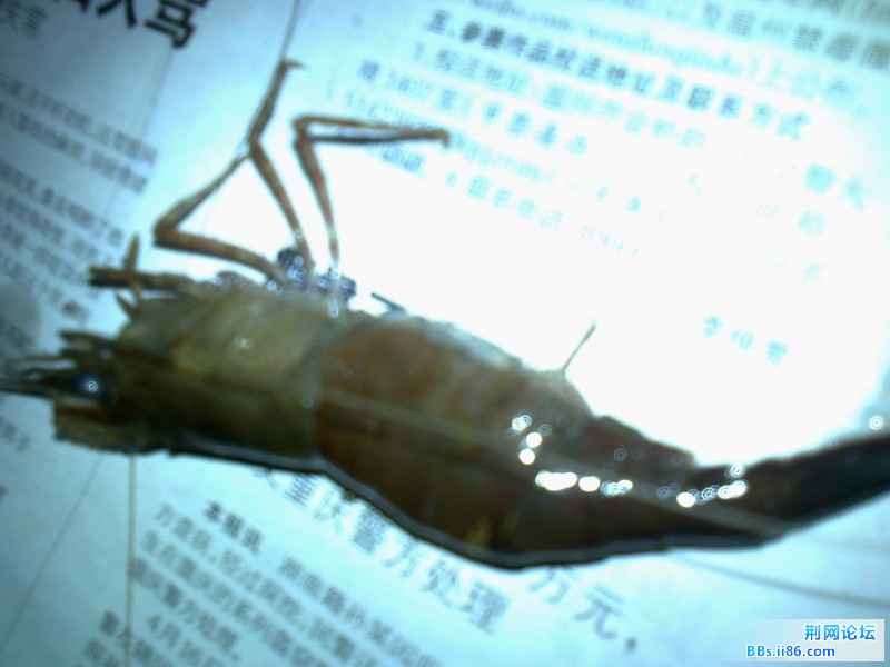 照片0943.jpg