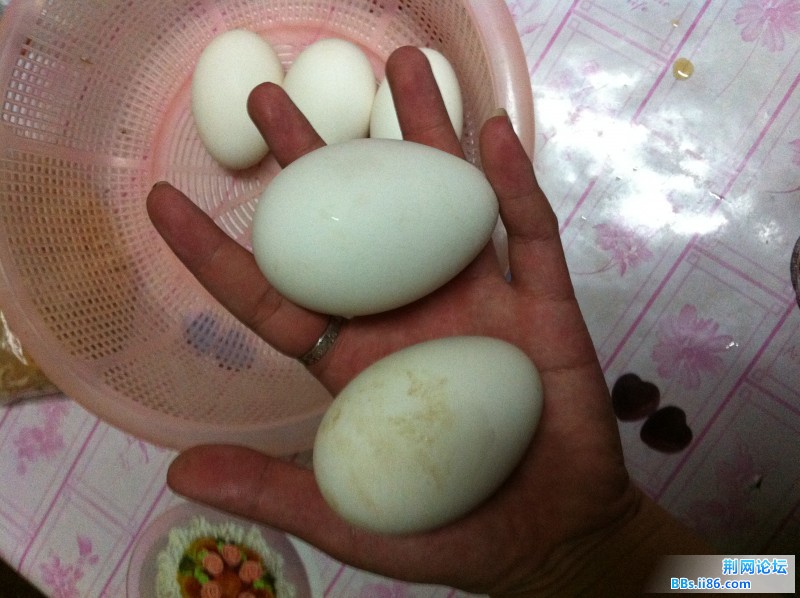 两个蛋就一只手了。