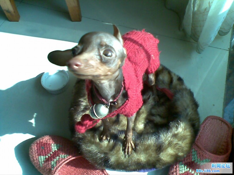 20110206.jpg