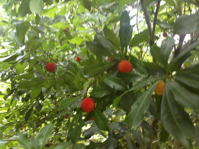 201206231058.jpg