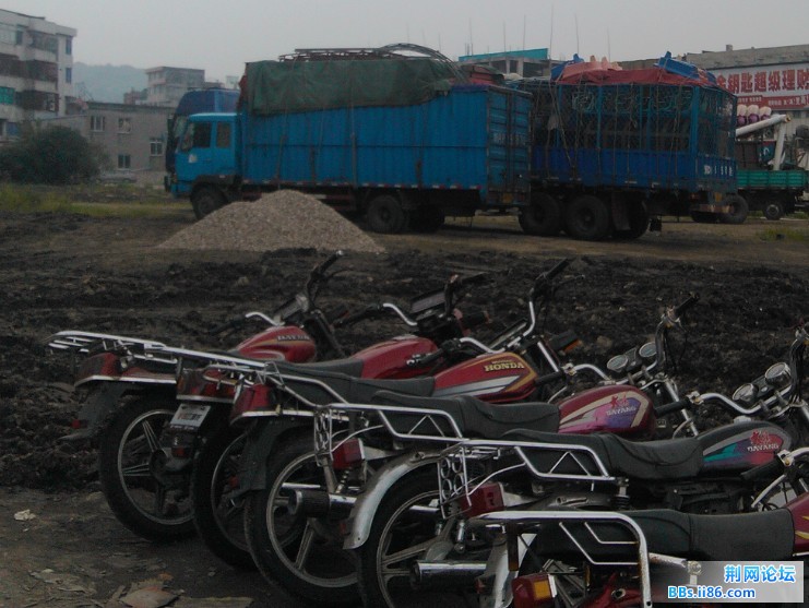 jw627180539.jpg