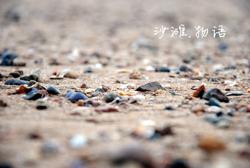 DSC_8673_副本.jpg