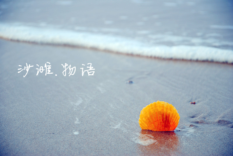 DSC_8691_副本.jpg