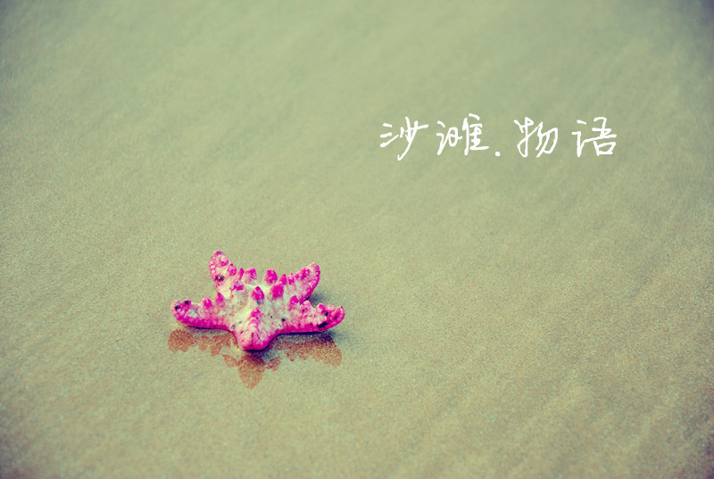 DSC_8700_副本.jpg