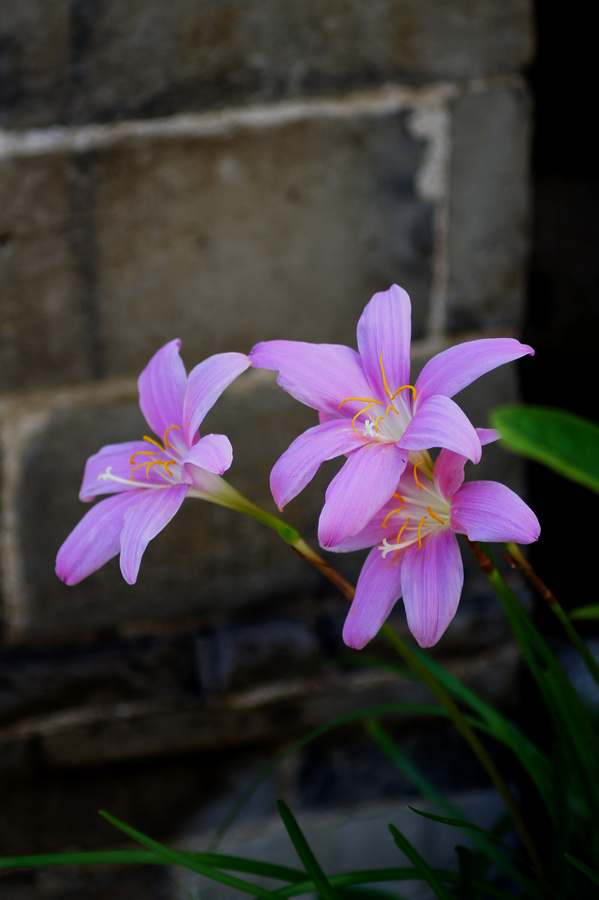 DSC05159.JPG