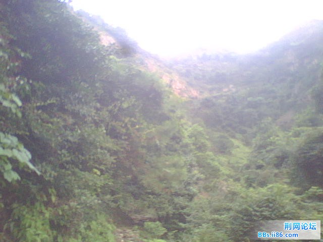 WLS01309.JPG