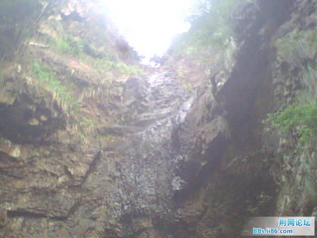 WLS01315.JPG