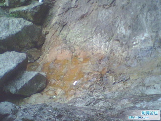 WLS01324.JPG