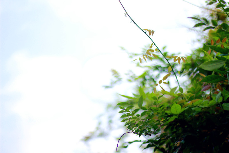 _MG_8708_副本.jpg