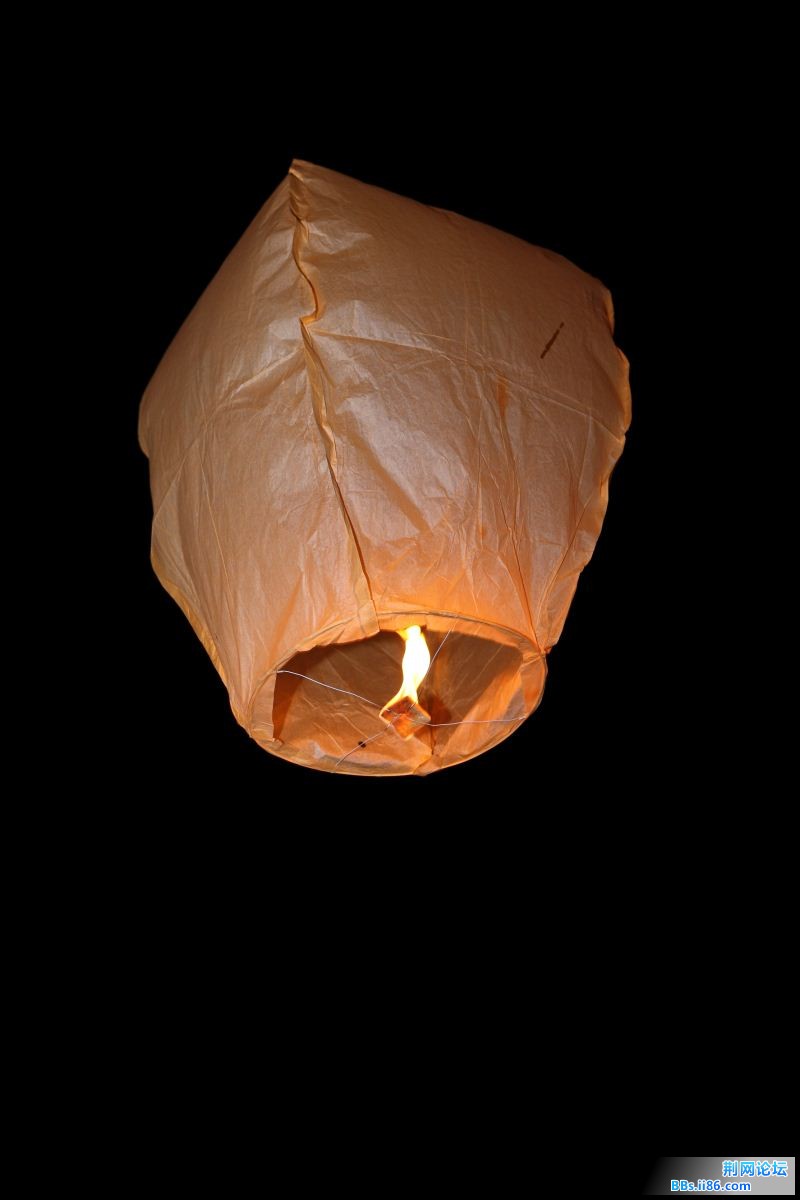 IMG_7246.JPG