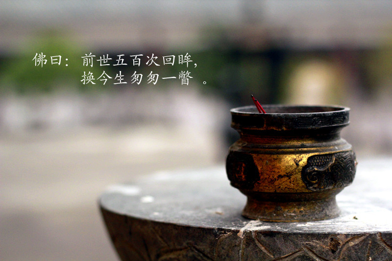_MG_0252_副本_副本.jpg