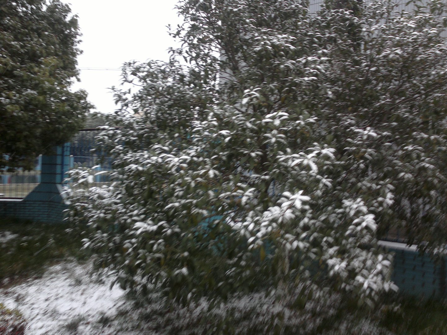 201301031656.jpg
