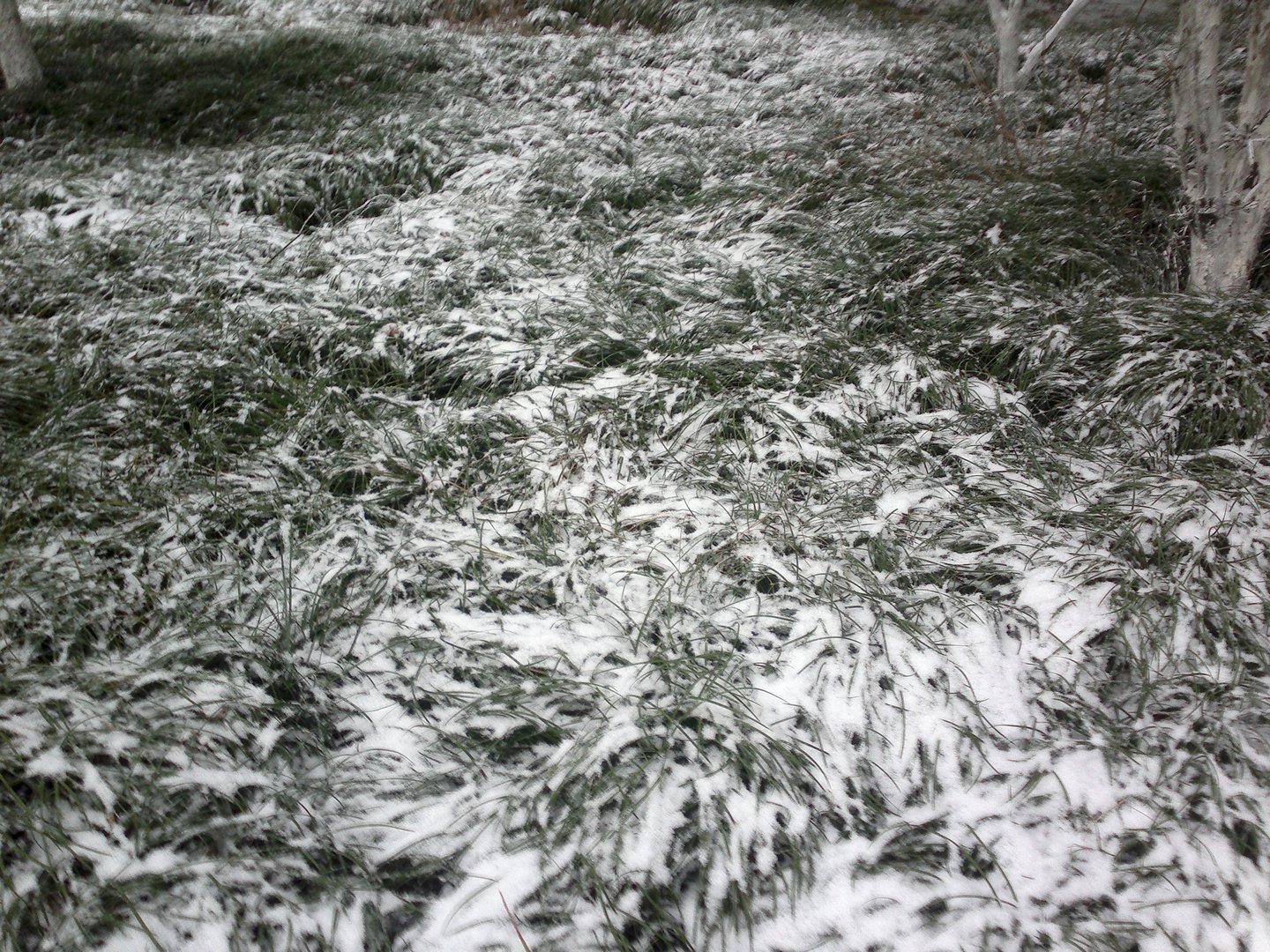 201301031659.jpg