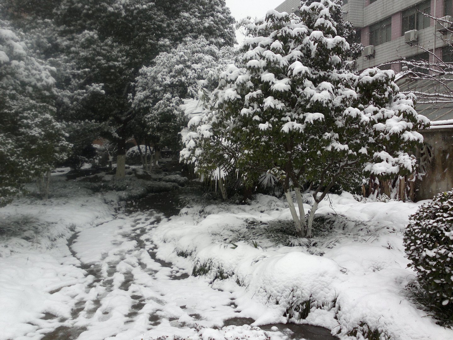 201301041672.jpg