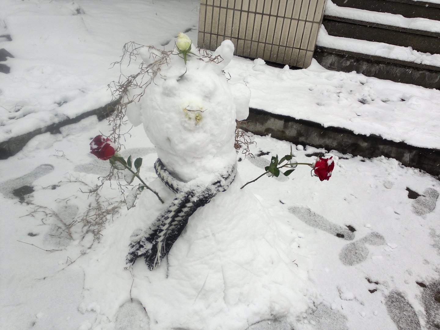 201301041674.jpg
