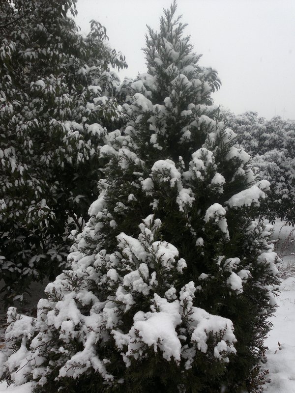 201301041676.jpg