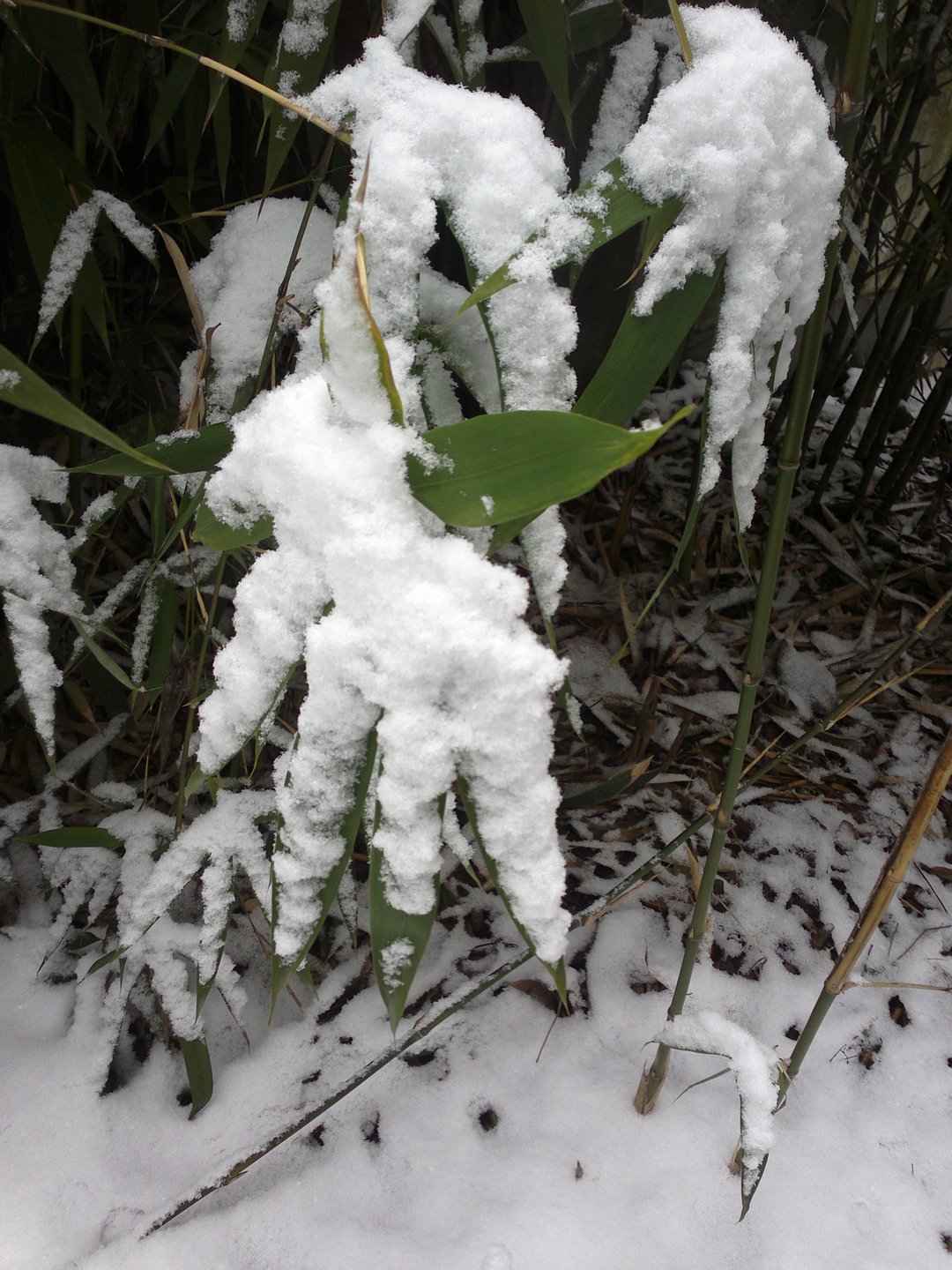 201301041686.jpg
