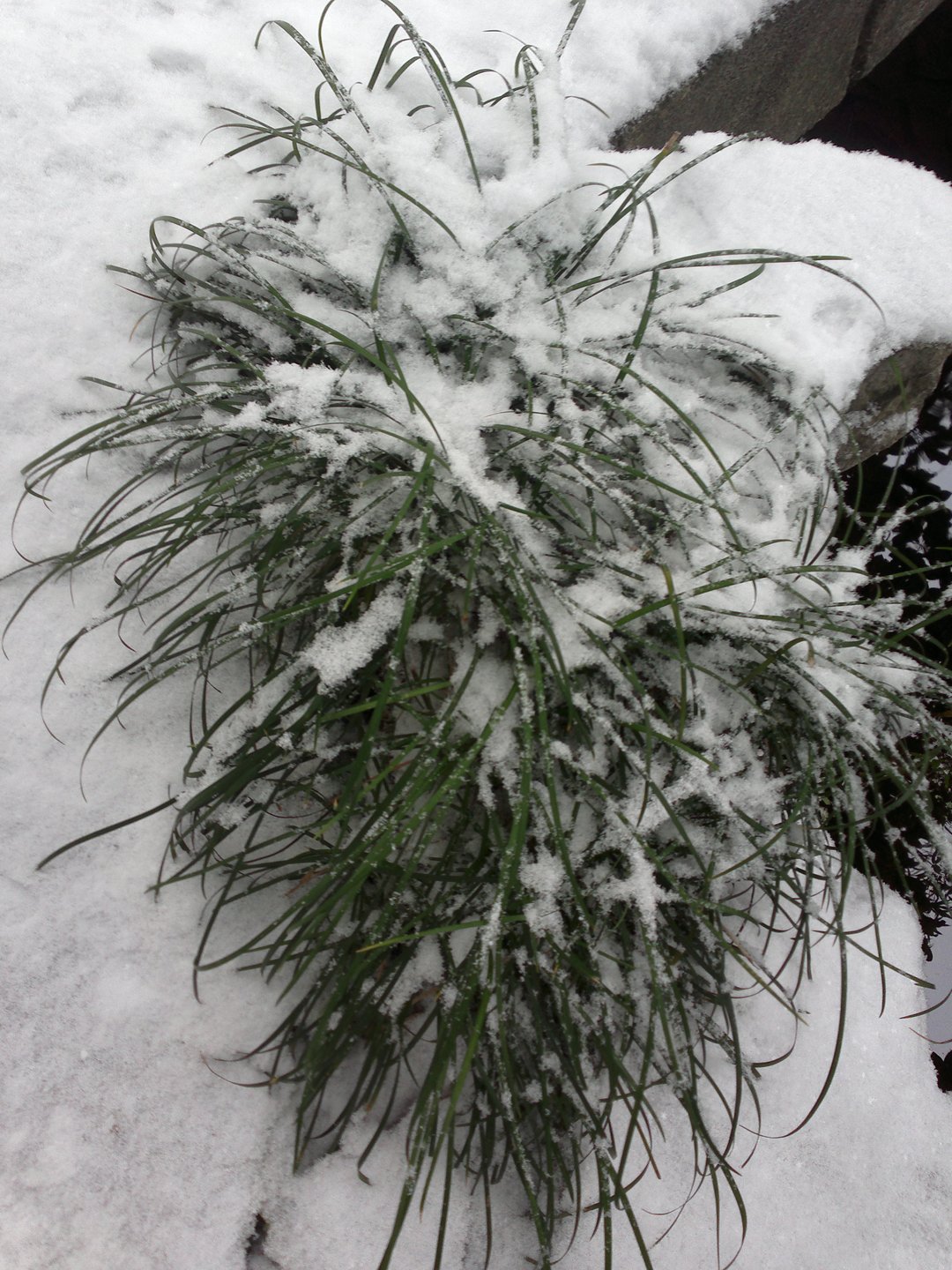 201301041690.jpg