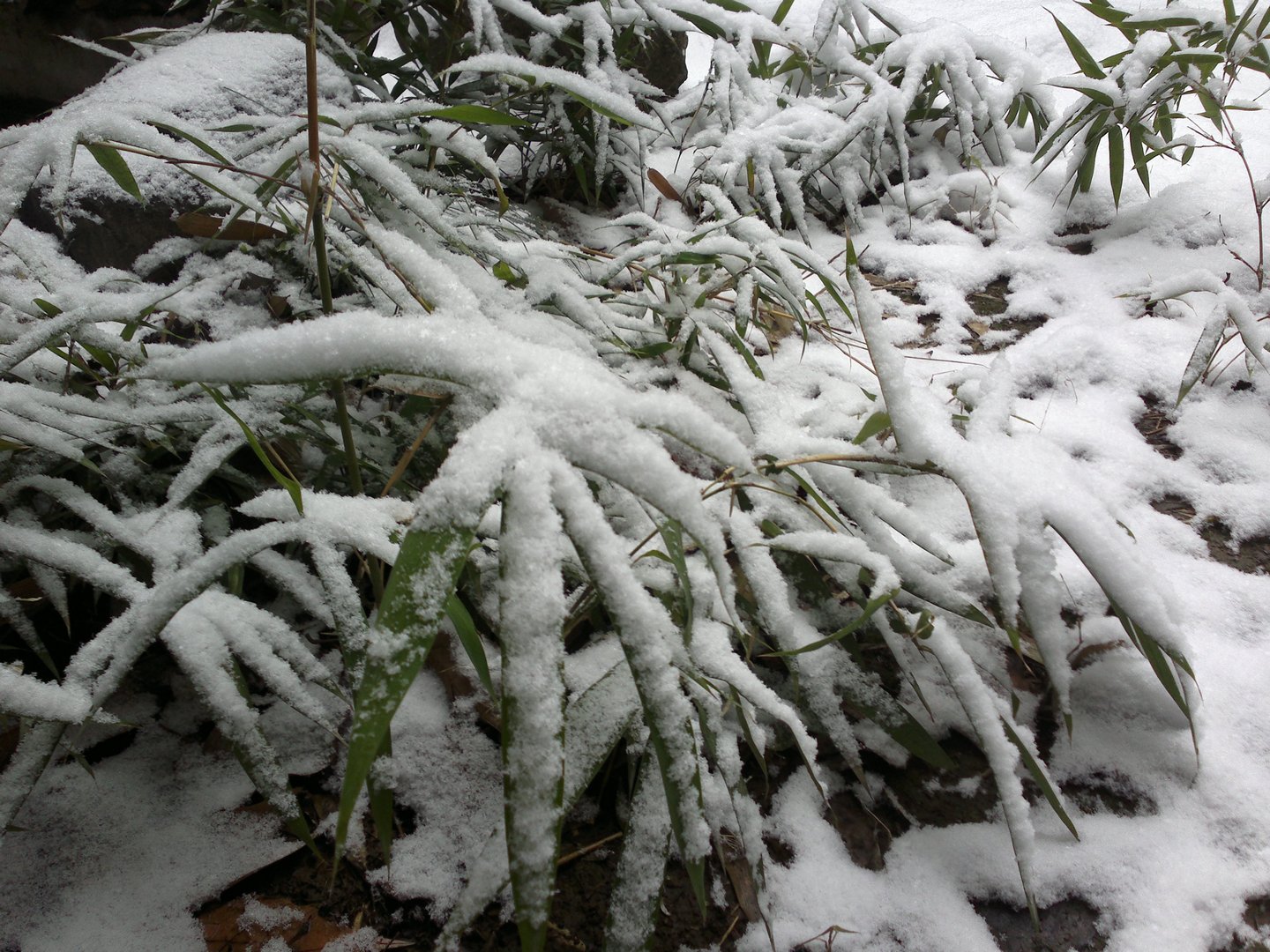 201301041691.jpg