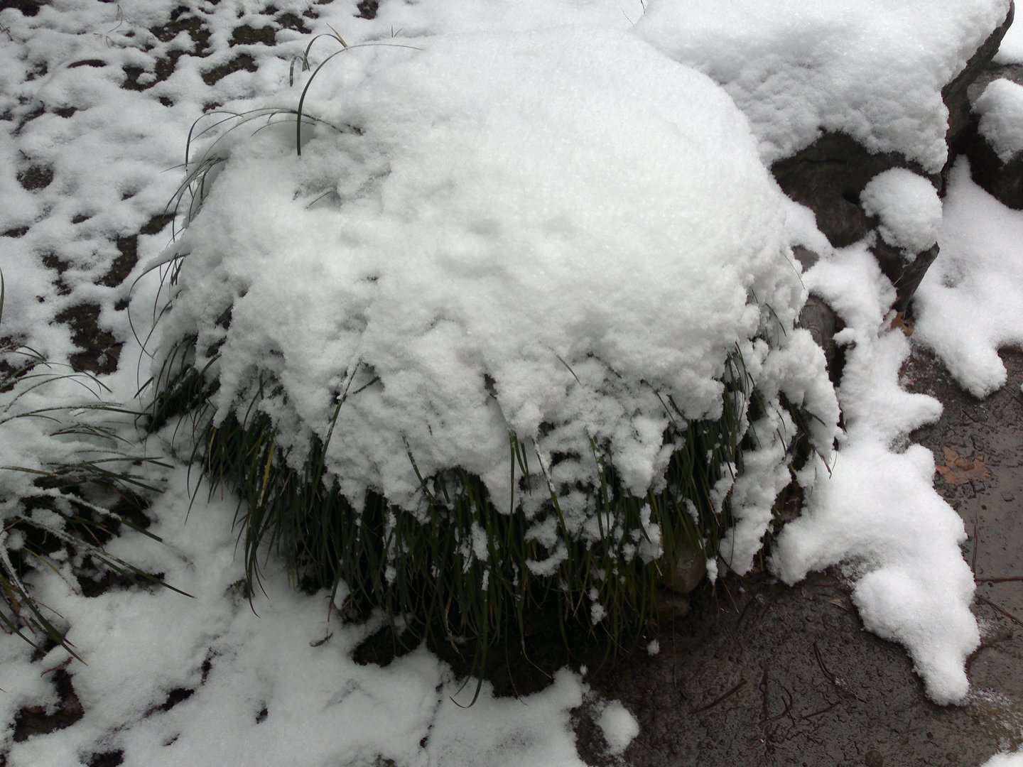 201301041692.jpg