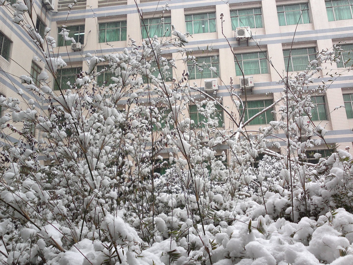 201301041695.jpg
