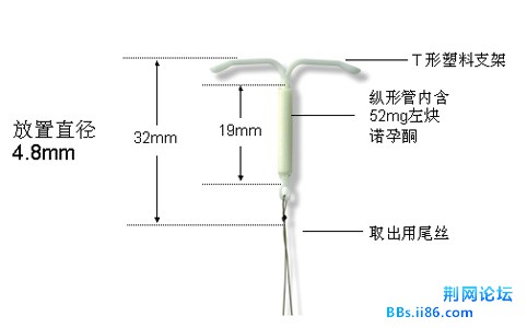 8694a4c27d1ed21bdd4d1bcfad6eddc451da3f17.jpg