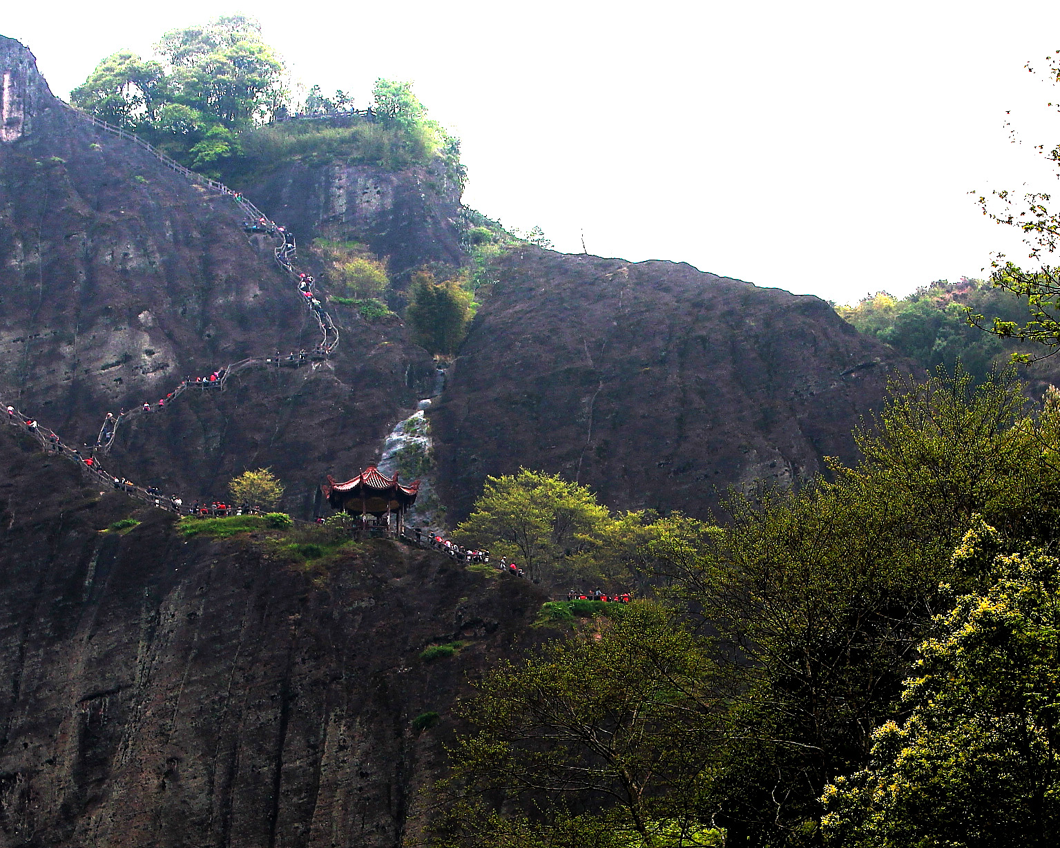 BI0E0768-1.JPG